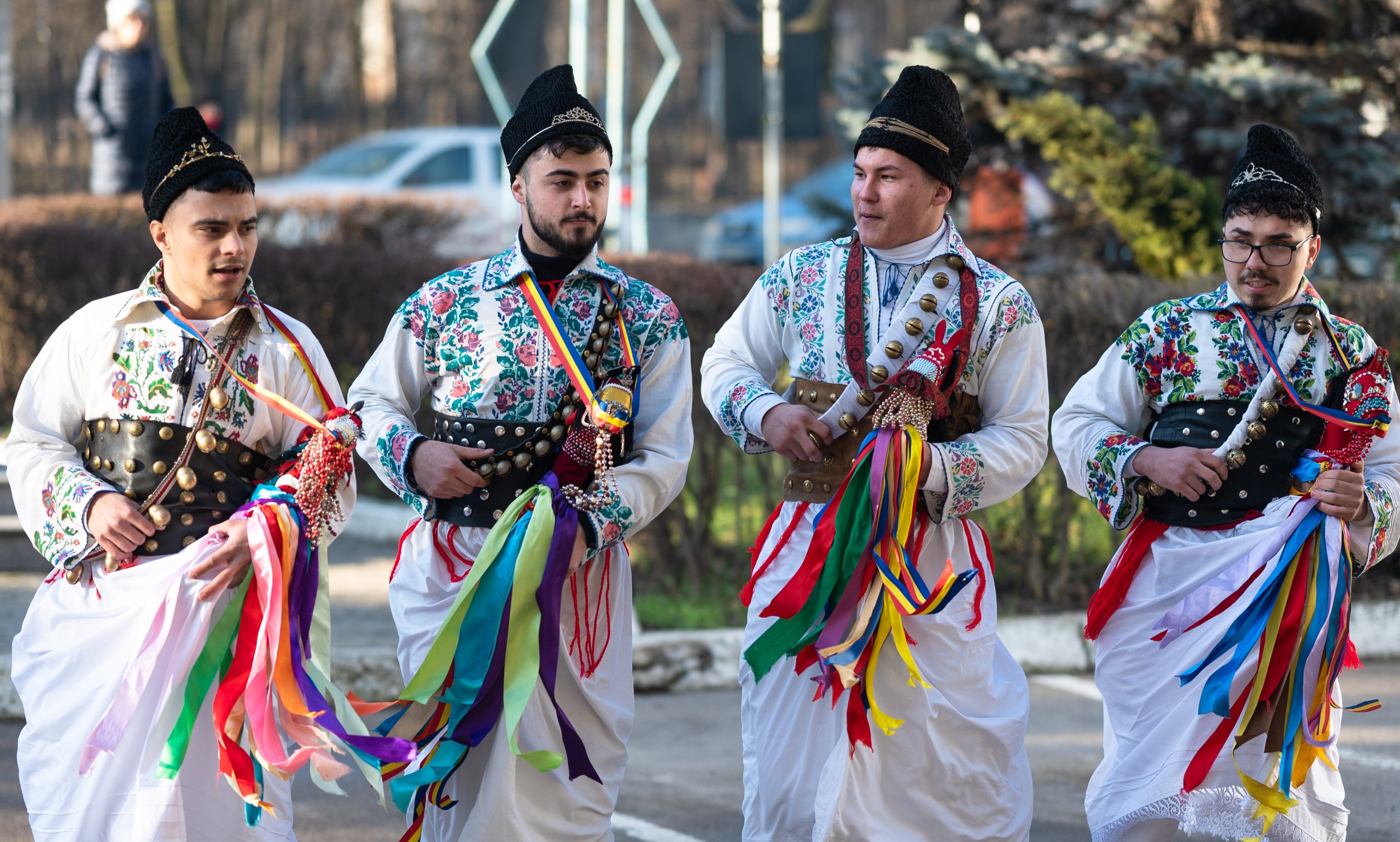 mascatii ursul capra - vocea botosani