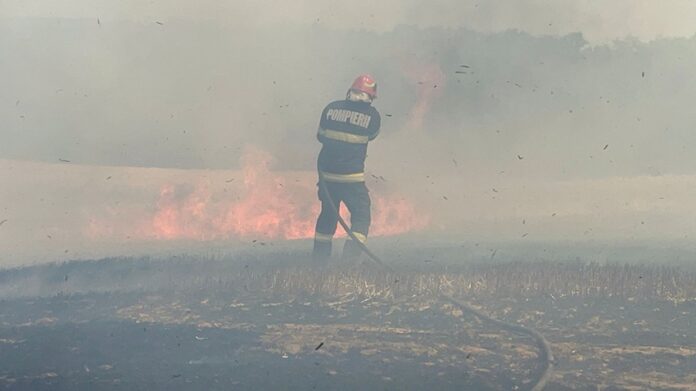 incendiu-vegetatie-05