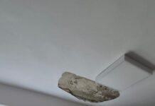 Poliția s-a sesizat în cazul căderii unei bucăți de tavan la Colegiul Eminescu – iată punctul său de vedere