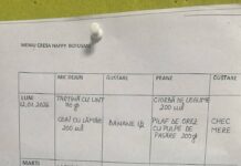 După incidentul de la creșa din ANL Cișmea, părinții au început să își arate nemulțumirile legate de meniul zilnic al copiilor, de supraaglomerarea grupelor, de condițiile de igienă sau imposibilitatea cadrelor didactice de a face față numărului prea mare de copii.
