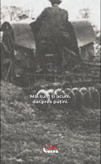 Captură de ecran 2026-03-25 110537