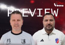 FC BOTOȘANI ÎN LUPTĂ DIRECTĂ PENTRU BARAJ!