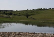 Contracronometru pentru salvarea vieții unui băiat de 15 ani care a intrat in apele iazului Polonic din Dorohoi și nu a mai ajuns la mal