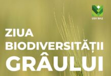 Ziua Biodiversității Grâului, organizată de USV Iași la Ezăreni