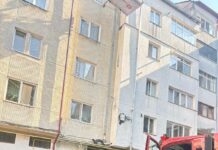 Un roi se albine și-a făcut loc pe un bloc de pe strada Marchian – au intervenit jandarmii, pompierii dar și un apicultor
