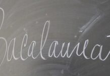 Ultima probă la Bacalaureat – Doi elevi au fost eliminați pentru fraudă