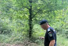 Încă un șarpe prins de jandarmii botoșăneni 👇🏻👇🏻👇🏻