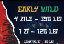 Ați întrebat. Ați așteptat. Acum e momentul! Wild Experience Fest