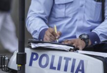 Amendă de 3.000 de lei pentru abandonul unor exemplare canine