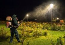 Atenție!!! În această noapte se face dezinsecție în mai multe zone din oraș