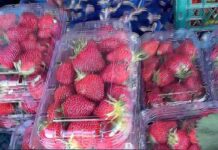 Atenție la ce mâncați👉Căpșunile din supermarketuri, încărcate cu pesticide👇