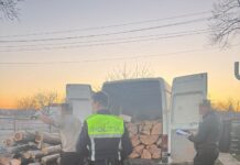 Sucevean sancționat cu amendă de 6.000 de lei pentru că transporta ilegal lemne