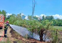 Iresponsabili 👉Cinci incendii de vegetație uscată, în ultimele ore
