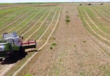 În atenția celor care dețin afaceri sau vor să investească în agricultură👉