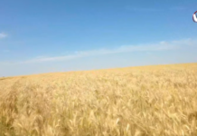 Crezi că astfel de peisaje există doar în filme? Ei bine, sunt chiar aici, la noi! (video)