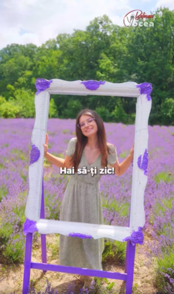 Captură de ecran 2026-07-04 144802
