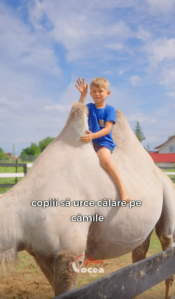 Captură de ecran 2026-07-10 092438