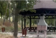 Așa rămâne după amatorii de gratare în aer liber! (video)