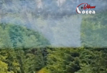 VIDEO| Asta se întâmplă când telefonul te vrăjește complet. 👇👇👇