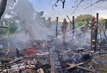 100 de păsări și trei capre, moarte într-un incendiu la Corlăteni