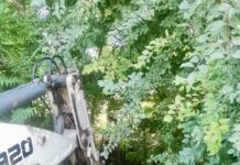 Vacă căzută în gol trei metri, salvată de pompieri
