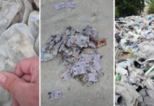 Permise de sofer românești arse găsite într-o groapă de gunoi din Moldova