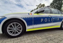 Bărbatul care a omorât un câine în chinuri a fost arestat pentru 30 de zile (Video)