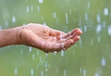 În această perioadă, ploile par să fie mai prezente decât soarele (Video)