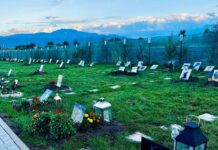 Iașul va avea cimitir pentru animale – În Botoșani nimeni nu se gândește la așa ceva – Deocamdată nu se știe unde sunt îngropate animalele care mor, dar, în principiu, fiecare se descurcă să sape o groapă pe undeva