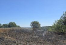 Trei locuințe și culturi agricole – salvate de pompieri în urma unor incendii