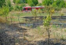 Trei incendii de vegetație uscată, la un pas să ajungă la locuințe