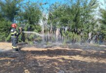 Trei incendii de vegetație uscată, la un pas să se extindă la locuințe, în județul Botoșani