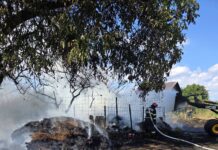 Opt capre au murit în urma unui incendiu izbucnit, în această după-amiază, într-o gospodărie din localitatea Sulița – Evenimentul s-a produs din cauza unui foc aprins pentru arderea resturilor vegetale, lăsat nesupravegheat