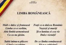 De Ziua Limbii Române, senatorul botoșănean Ovidiu Jitaru a adus un omagiu limbii române