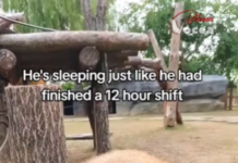 VIDEO| Tot mai mulți spun că nu mai au timp să se relaxeze. Dar de ce am ajuns aici?
