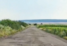 VIDEO| DRDP Iași în loc să facă treabă stă prin procese cu angajații. 👇