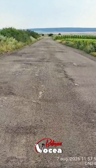 Captură de ecran 2026-08-08 140651