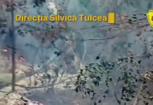 VIDEO| Incendiu major în pădurea Plauru de lângă Tulcea după explozia unei drone!