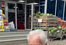 VIDEO| Am stat de vorbă cu localnicii pentru a afla ce le place cel mai mult la orașul Darabani.