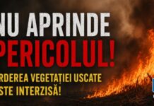O casă și un depozit de furaje, salvate de pompieri din calea flăcărilor
