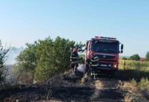Trei incendii de vegetație uscată în județul Botoșani. Pompierii au salvat o locuință și mai multe culturi agricole