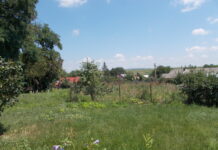 Primăria Cristești a găsit soluția să scape de groapa de gunoi ilegală din comună (Video)