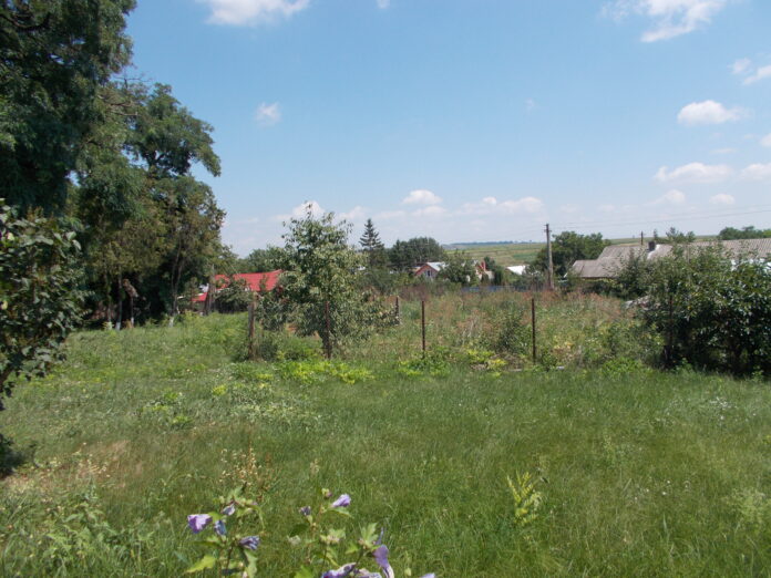 RO_BT_Cristești