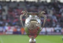 🎟️ BILETE LA FC BOTOȘANI – CORVINUL HUNEDOARA! 🔴🔵