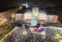PSD nu se dezminte! Olguța vrea să cumpere în plină criză brazi în valoare de 50.000 de euro