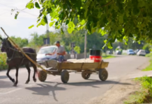 VIDEO| Sfânta Maria, începutul anului școlar și munca de la țară au adus forfotă în comună Nicșeni